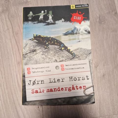 Jørn Lier Horst: Salamandergåten