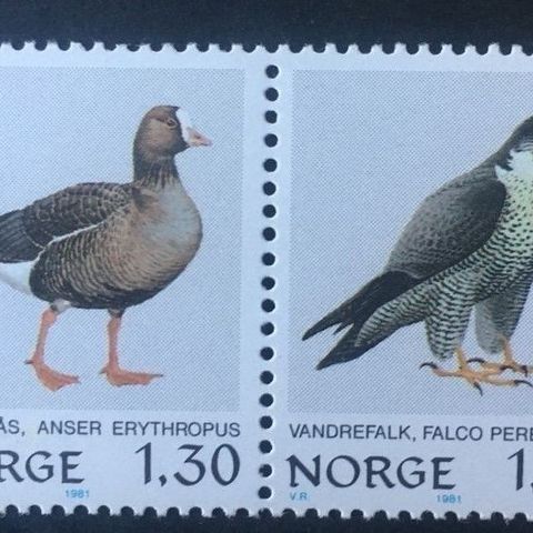 Norge 1981 Norske fugler II NK 875 - 876 S10 (par) Postfrisk