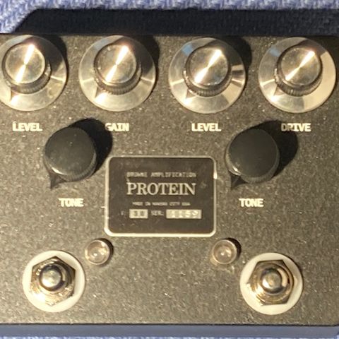 Browne Amplification The Protein V3