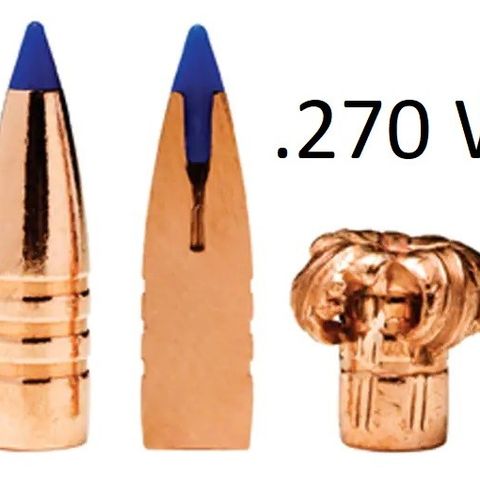 Ammo 270 Winchester - Barnes, Norma Oryx Kalahari, Hornady, Accubond