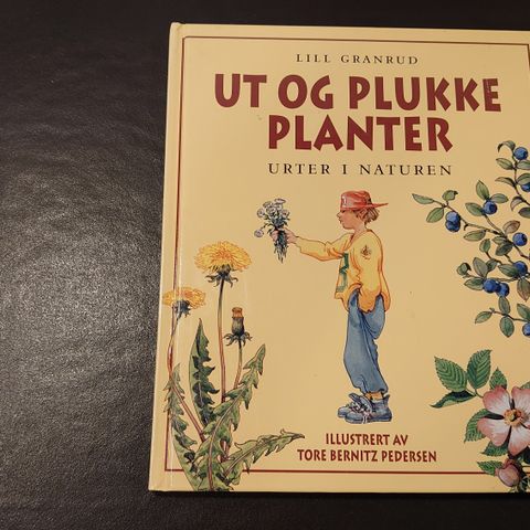 Ut og plukke planter, av Lill Granrud