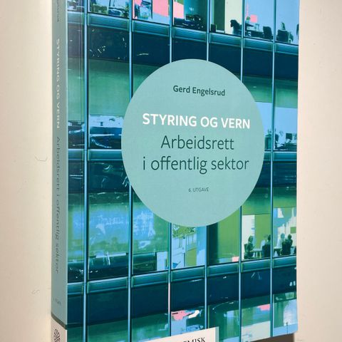 Styring og vern - arbeidsrett i offentlig sektor bok