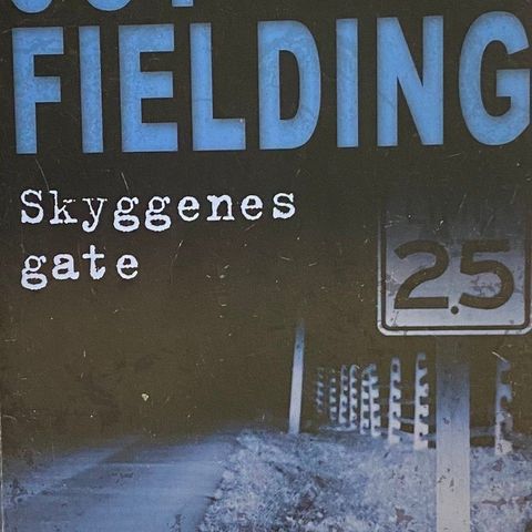 Joy Fielding: "Skyggenes gate"