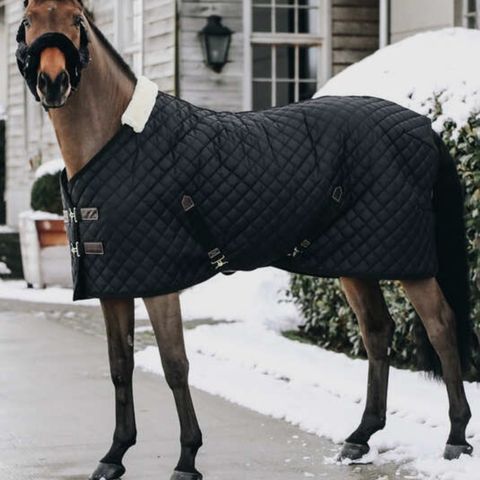 kentucky stable rug