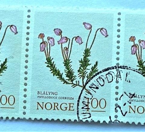 Norge 1973 Blomstermerker Blålyng 3-stripe vannrett NK 721 Stemplet