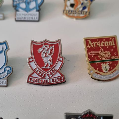 Fotball pins