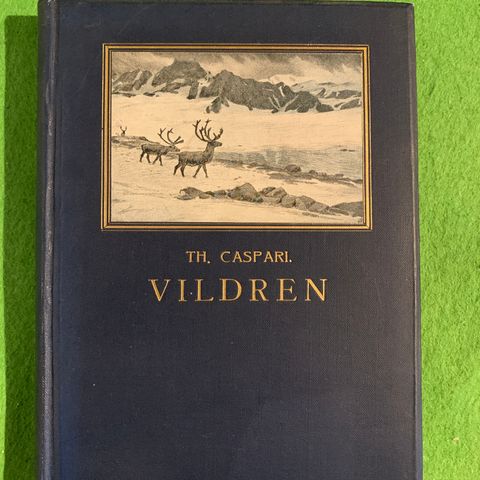 Theodor Caspari - Vildren. Et livsbillede fra høifjeldet (1905)