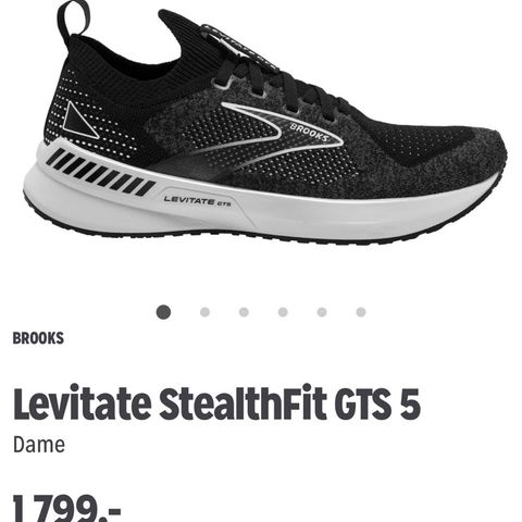 Brooks Levitate StealthFit GTS 5