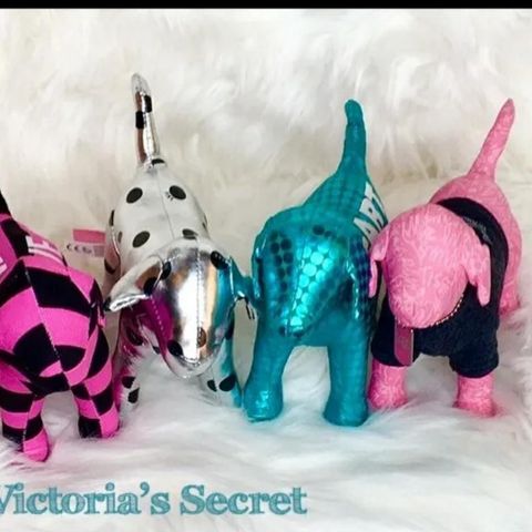 Victoria s secret dogs ØNSKES KJØPT 🖤💜