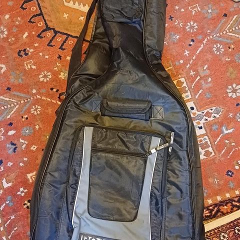 Roadbag gitar bag