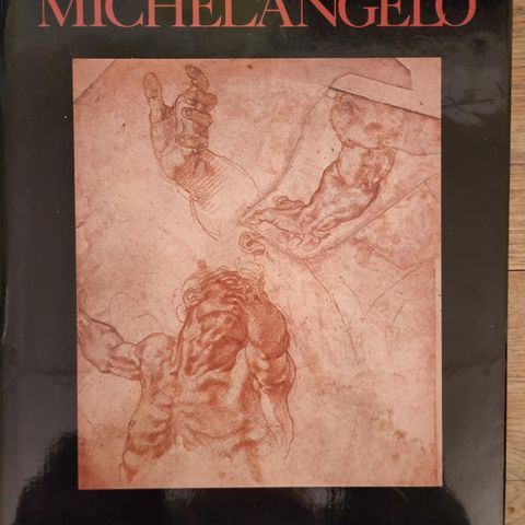 Michelangelo Drawings