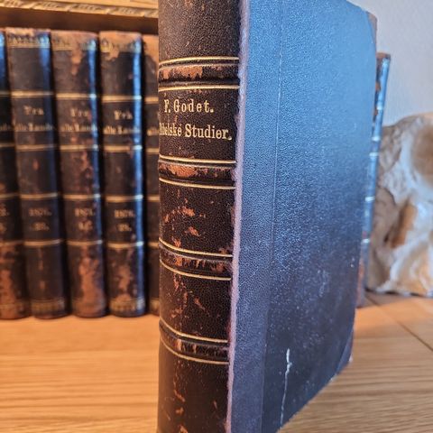 Gammel dekorativ bok fra 1878