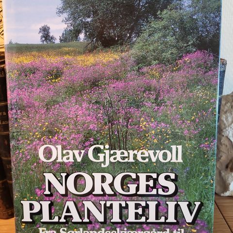 Norges planteliv