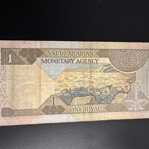 Saudi Arabia One Riyal 1984  (505 AD)