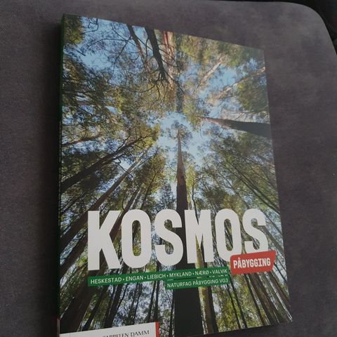 Kosmos påbygging