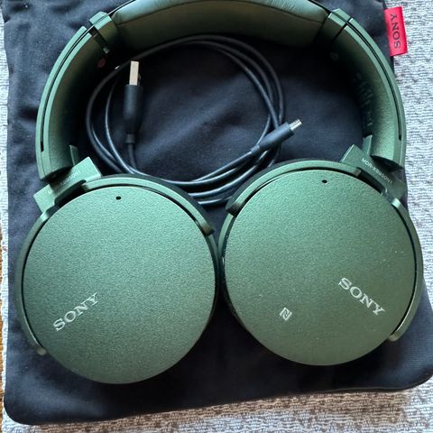 Sony XB950N1