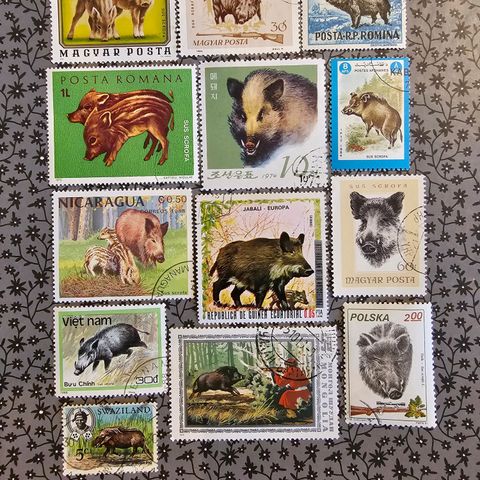 13 forskjellige frimerker med villsvin
