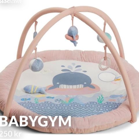 Babygym