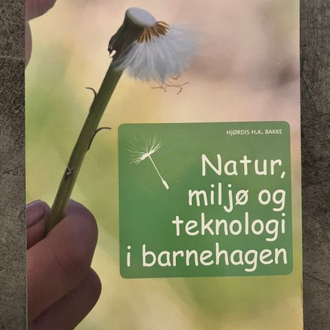 Natur, miljø og teknologi i barnehagen