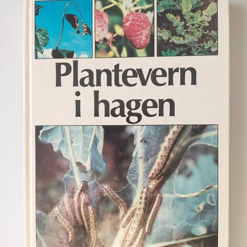 Hage-Plantevern i hagen.