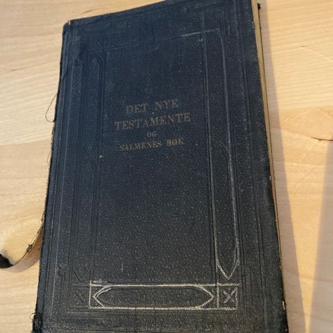 Det nye testamentet og Salmenes bok 1931