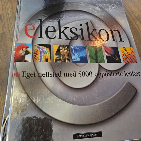 Google Eleksikon bok