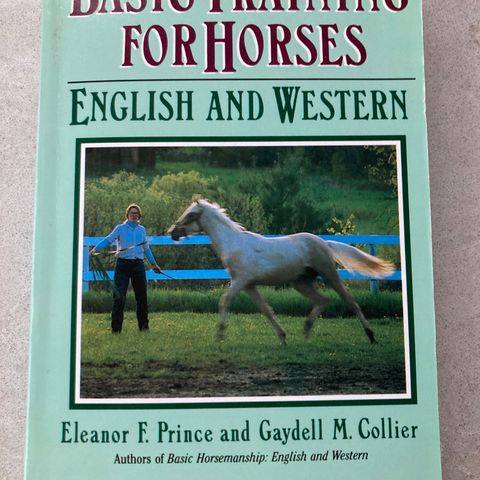 Basic training for horses
