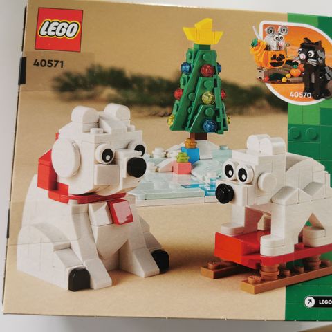 Lego 40571