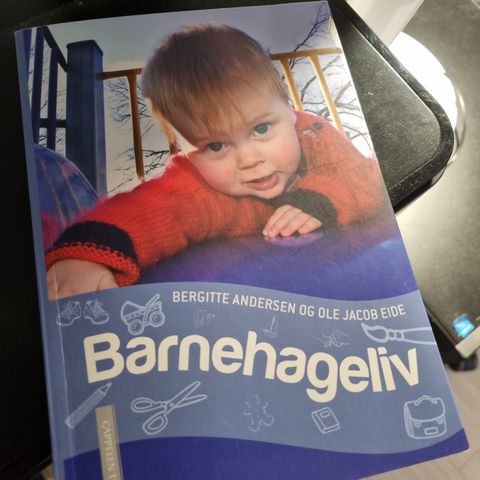 Barnehageliv