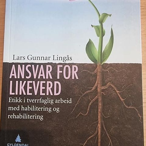 Ansvar for likeverd