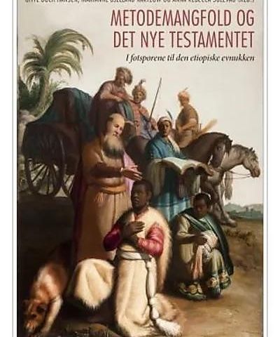 Ønsker boken: Metodemangfold og Det nye testamentet