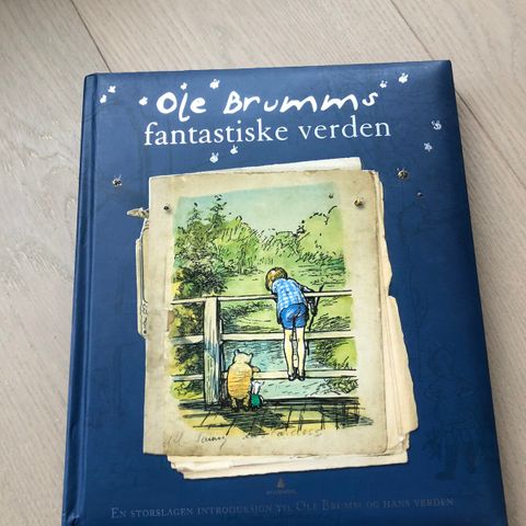 Bok om Ole Brumm