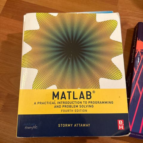 MATLAB - A practical introduction to programming and problem solving (4. utgave)