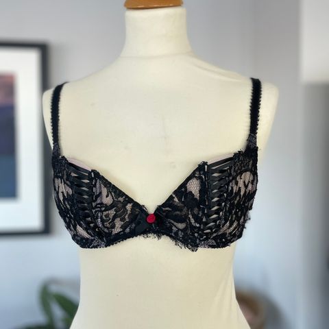 Agent Provocateur