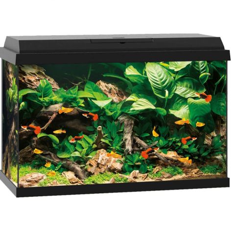 Akvarium Juwel 70L med skap/bord