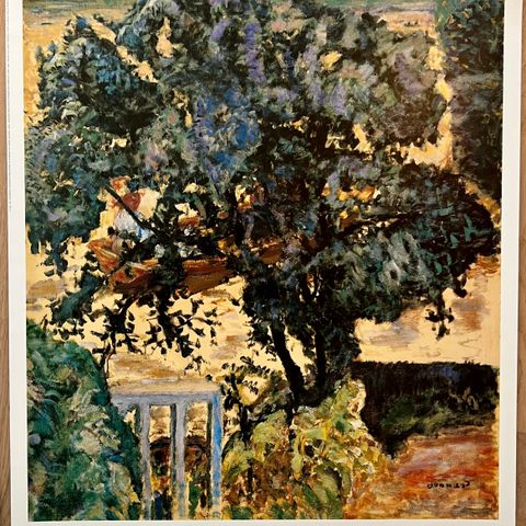 Kunstplakat Pierre Bonnard - Treet ved elven / Tree near river