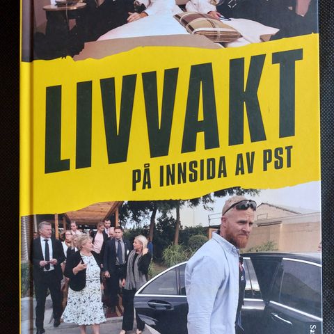 Solheim, Simon Frammarsvik: Livvakt : på innsida av PST