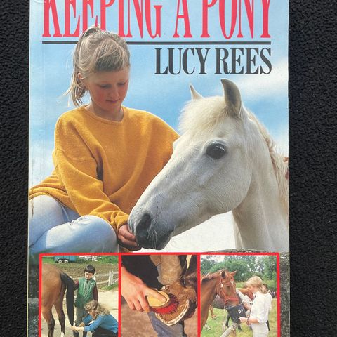 Keeping a pony - Lucy Rees