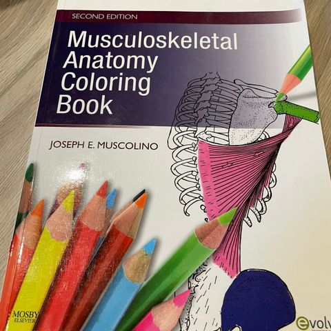 Musculoskeletal Anatomy Coloring Book