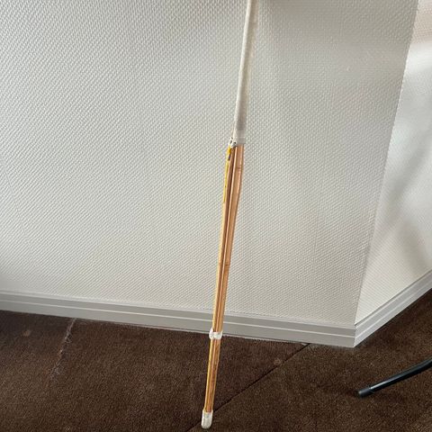 Shinai kendo treningssverd