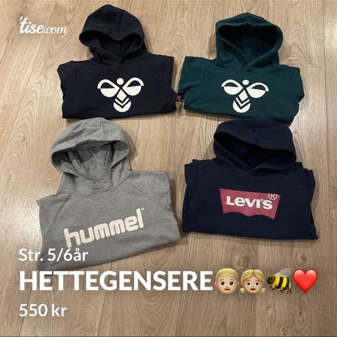 Hettegensere💙💚🩶🐝