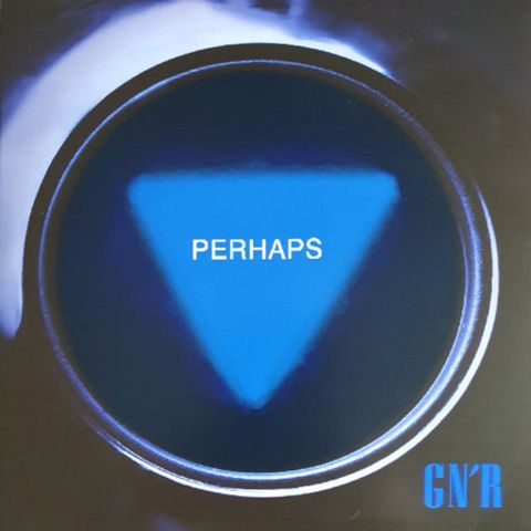 Guns N’ Roses Perhaps & Hard Skool 7’’