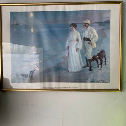 Nydelig bilde av PederSeverin Krøyer