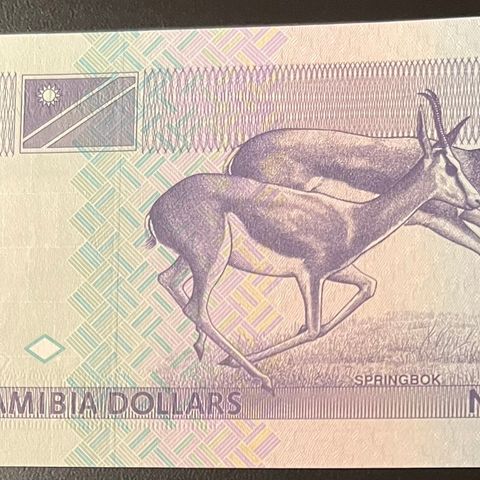 NAMIBIA. 10 DOLLAR.  1993. P1a.     UNC