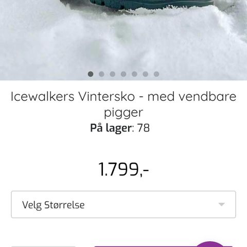 Icewalkers vintersko med vendbare pigger str 39