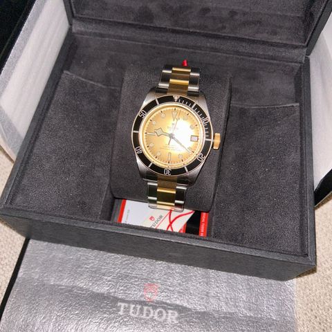 Tudor Black Bay S&G