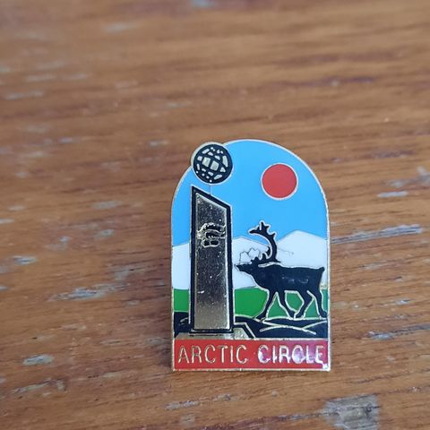 Artic circle pins