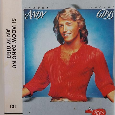 Andy gibb.shadow dancing.1978.