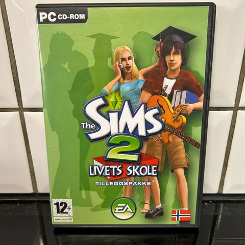 The Sims 2 Livets Skole