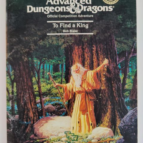 Dungeons & Dragons 1e - C4 To Find a King